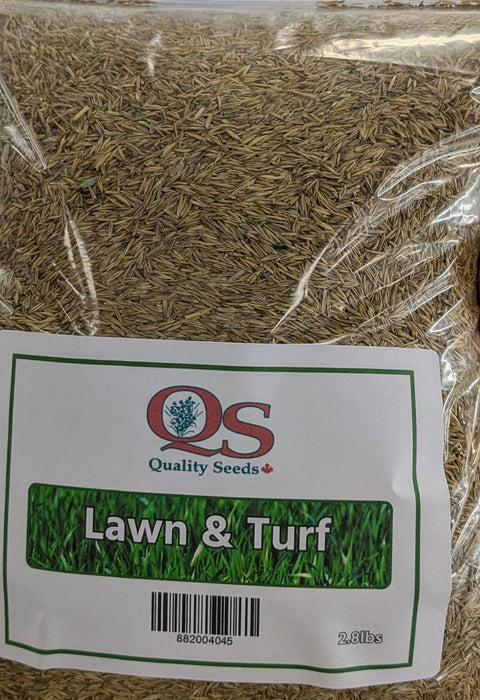 Lawn and Turf Grass Seed 2.8 lbs
