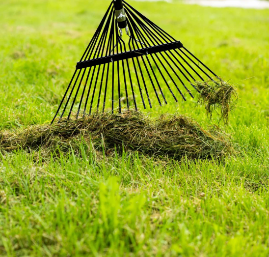 Lawn Rake with 24" Spring Back Steel Tines